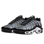 Nike Air Max Plus Smoke Fade - Image 2