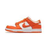 NikeDunkLowSPSyracuse_1.jpg